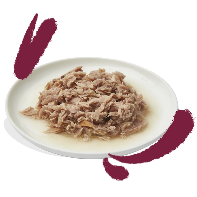 EDGARD COOPER GATOS HUMEDA FILETES ATUN Y POLLO 24 X 70 GR