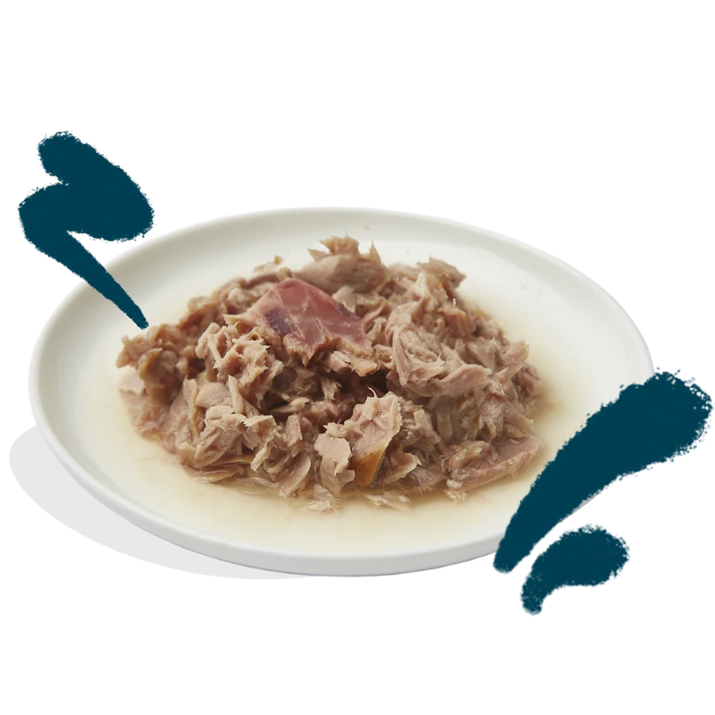 EDGARD COOPER GATOS HUMEDA FILETES ATUN Y CALAMAR 24 X 70 GR