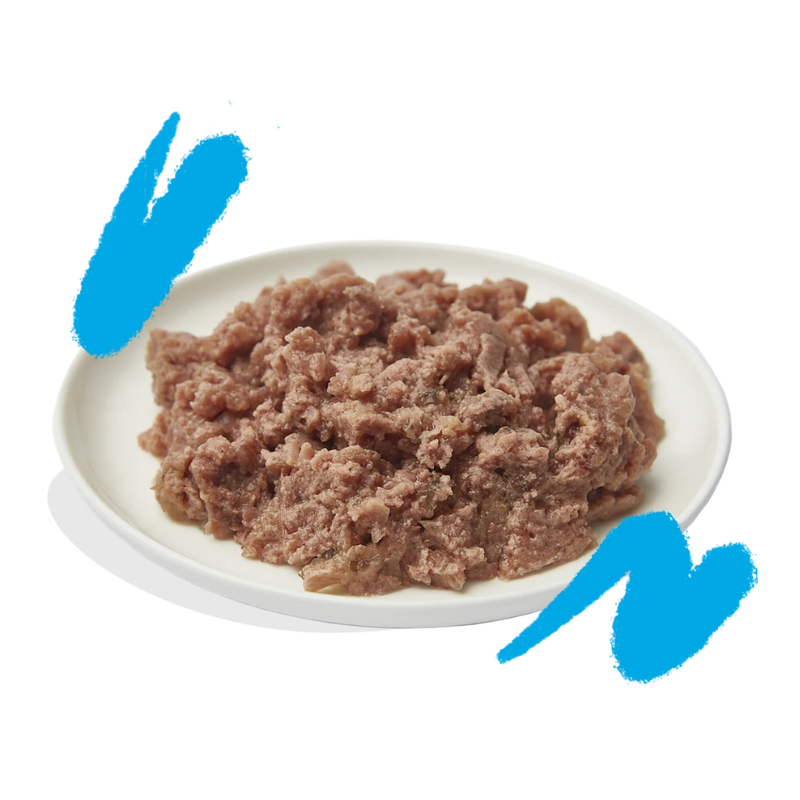 EDGARD COOPER GATOS HUMEDA PATE SALMON Y POLLO 16 X 85 GR