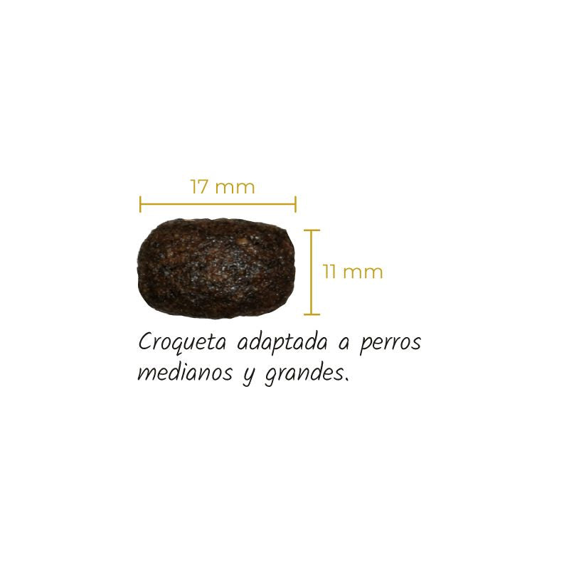 LENDA PERROS MEDIUM POLLO