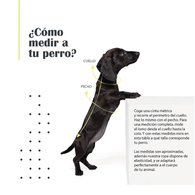 MI&DOG JERSEY JEANS LISO