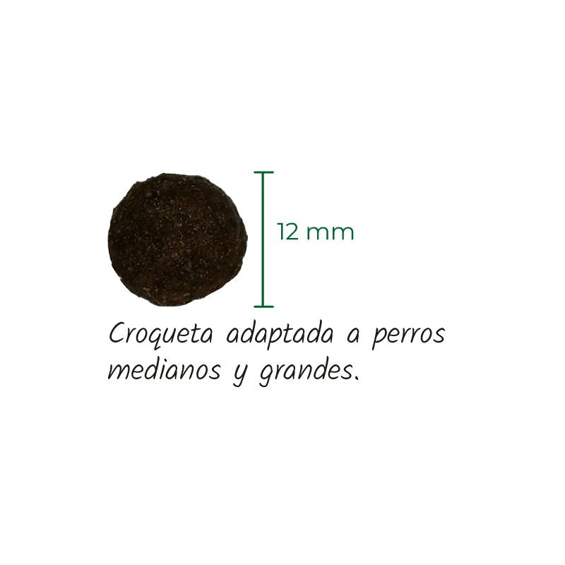 LENDA PERROS MEDIUM CORDERO