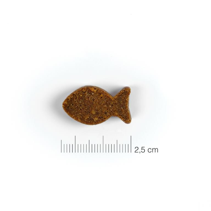 SNACKS MOMENTS PERROS SALMON DINGONATURA 60 GRAMOS