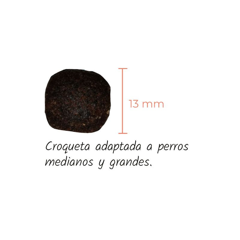 LENDA PERROS MEDIUM SALMON