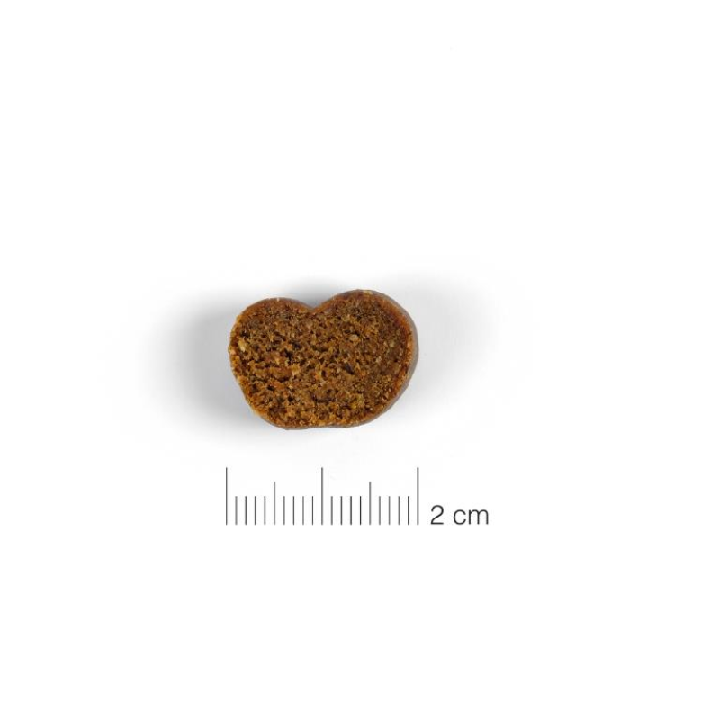 SNACKS MOMENTS PERROS FRUTA DINGONATURA 60 GRAMOS