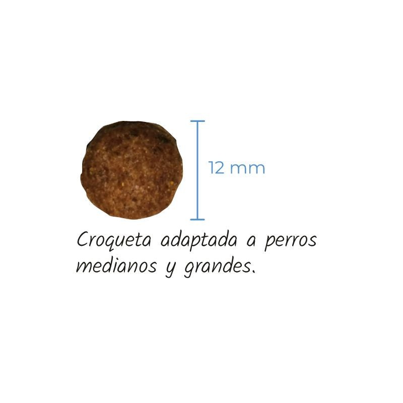 LENDA PERROS MEDIUM LIGHT Y ESTERILIZADOS