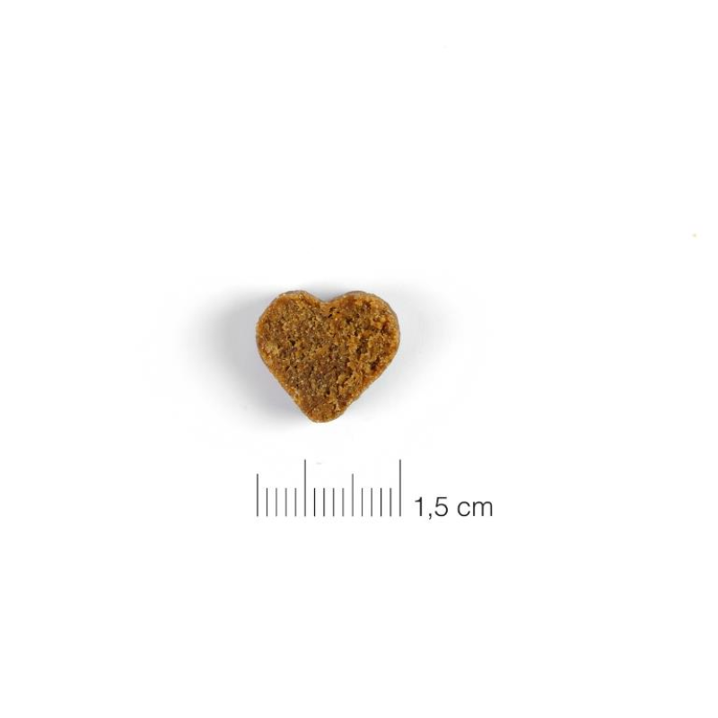 SNACKS MOMENTS PUPPY CACHORROS DINGONATURA 60 GRAMOS