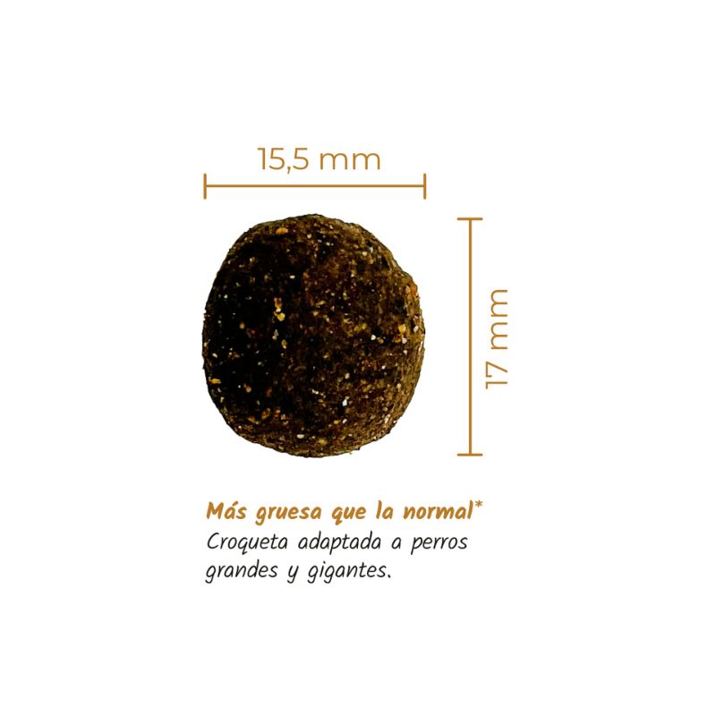 LENDA PERROS MAXI POLLO 12 KG