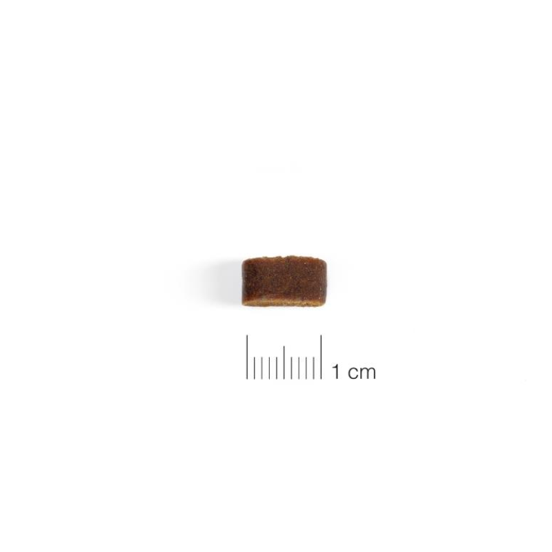 SNACKS MOMENTS PERROS LIGHT DINGONATURA 60 GRAMOS