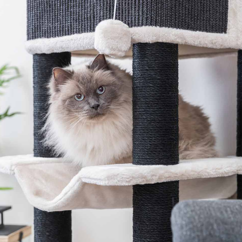 POSTE RASCADOR GATO XXL RAMIRO TRIXIE 110 CM