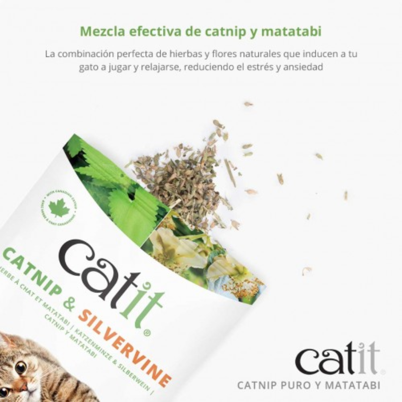 CATNIP Y MATATABI SECOS CATIT