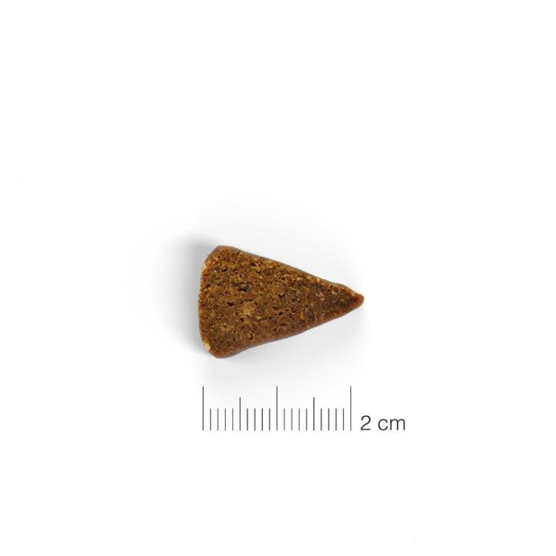 SNACKS MOMENTS PERROS QUESO DINGONATURA 60 GRAMOS