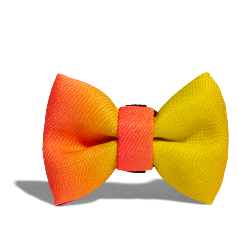 PAJARITA PARA PERROS CITRUS ZEE.DOG