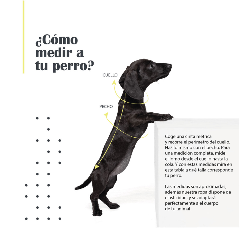ABRIGO CAPA PERRO BEGARD TRIXIE