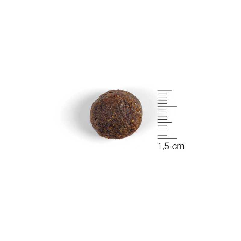 NATURA DIET CERDO Y ARROZ 12 KG