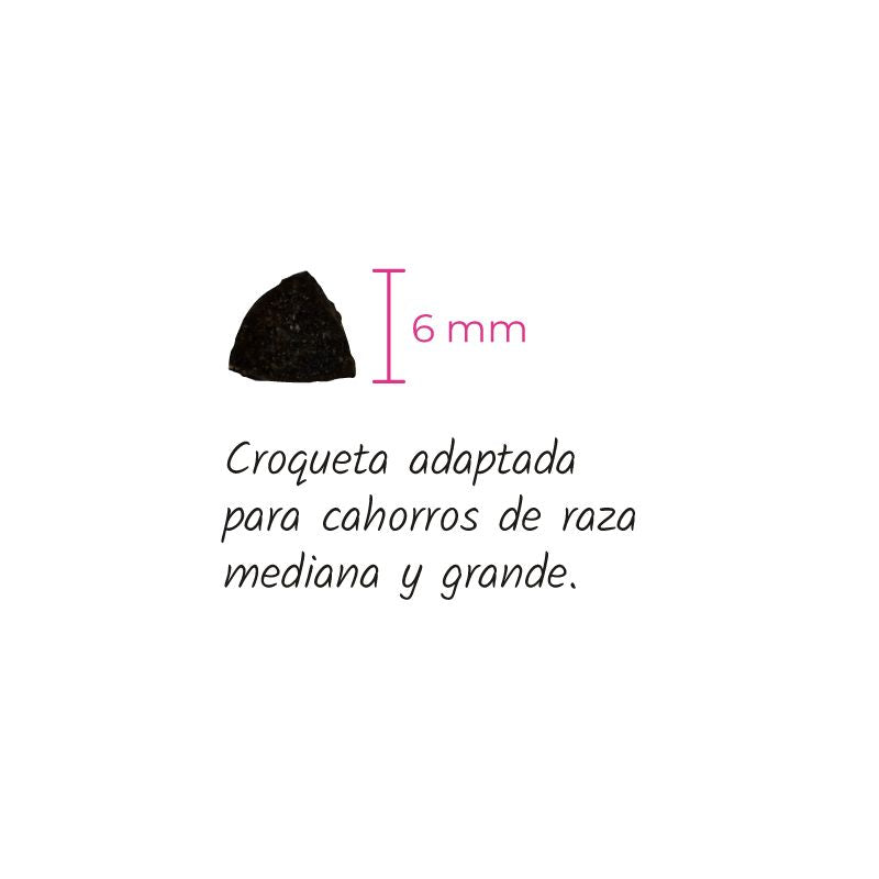 LENDA PERROS PUPPY MEDIUM