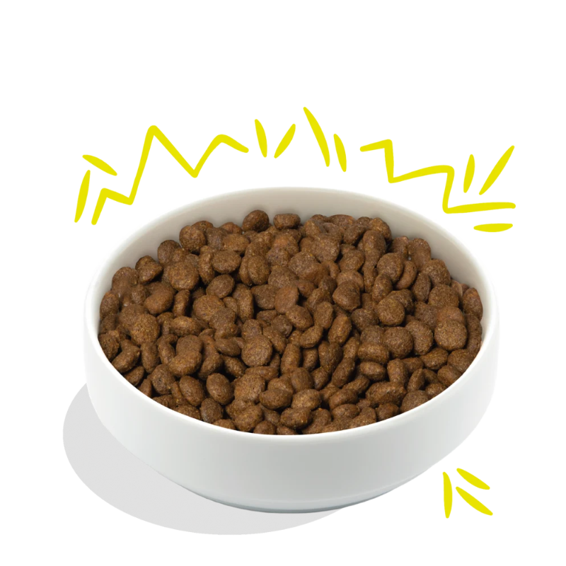 EDGARD COOPER PERROS ZANAHORIA Y CALABACIN CRUJIENTES 2,5 KG