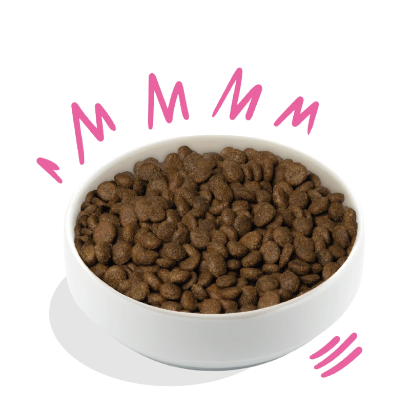 EDGARD COOPER PERROS REMOLACHA Y CALABAZA CRUJIENTES 2,5 KG