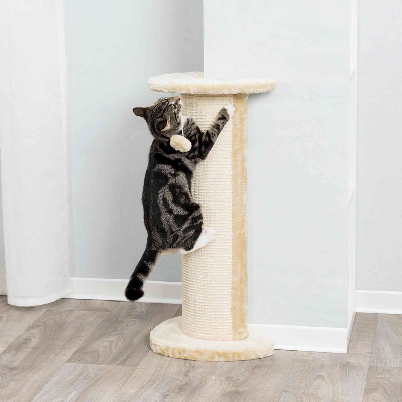 COLUMNA RASCADOR LORCA TRIXIE 75 CM