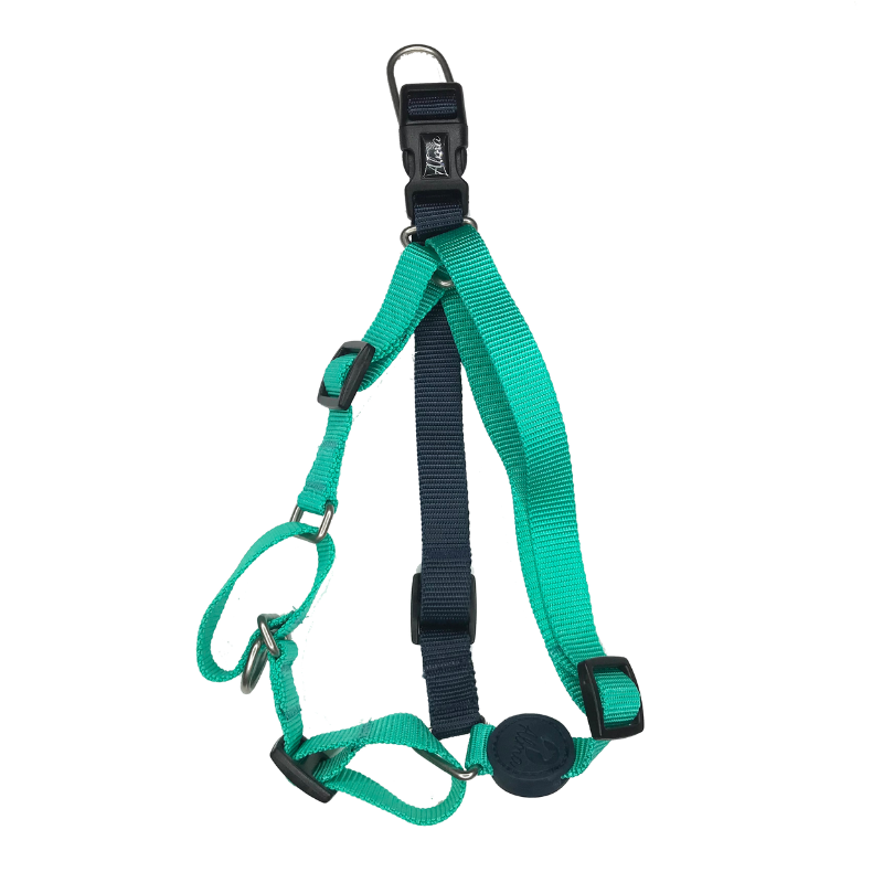 ARNES ANTITIRONES PERRO COMFORT PASEO ALMAPET VERDE