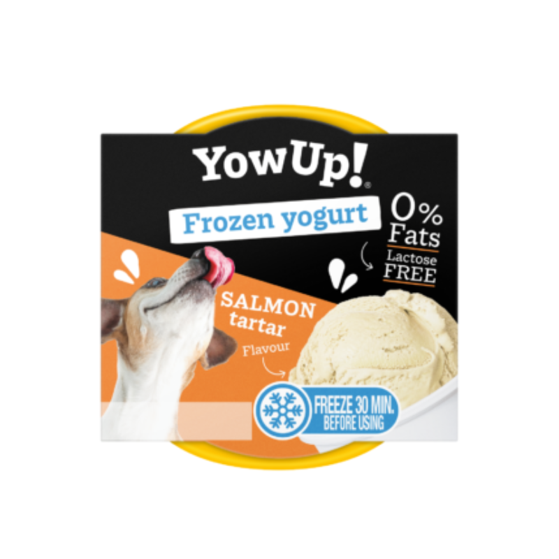 YOW UP YOGUR HELADO TARTAR DE SALMON CAJA DISPLAY 12X110GR