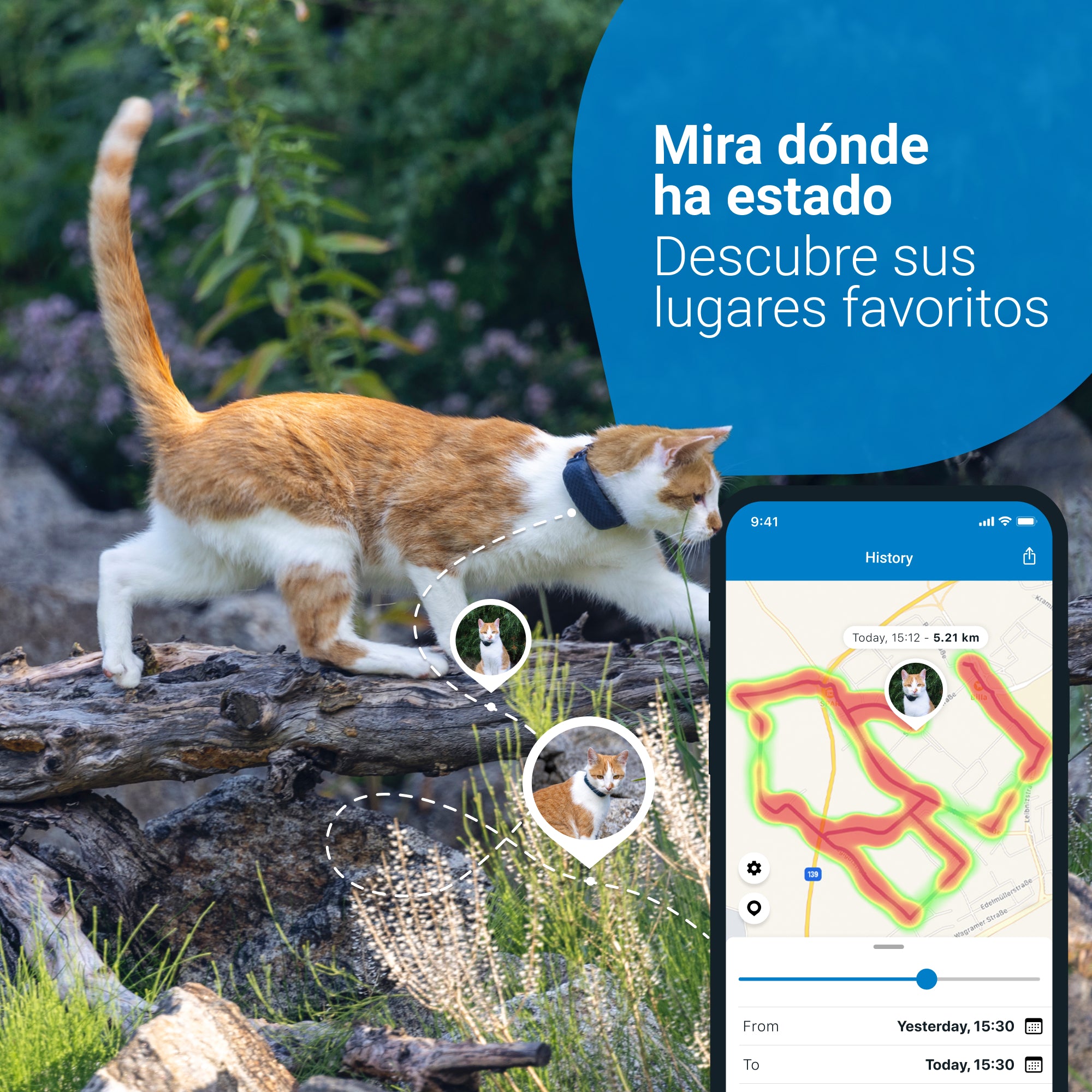 GPS RASTREADOR DE ACTIVIDAD PARA GATOS