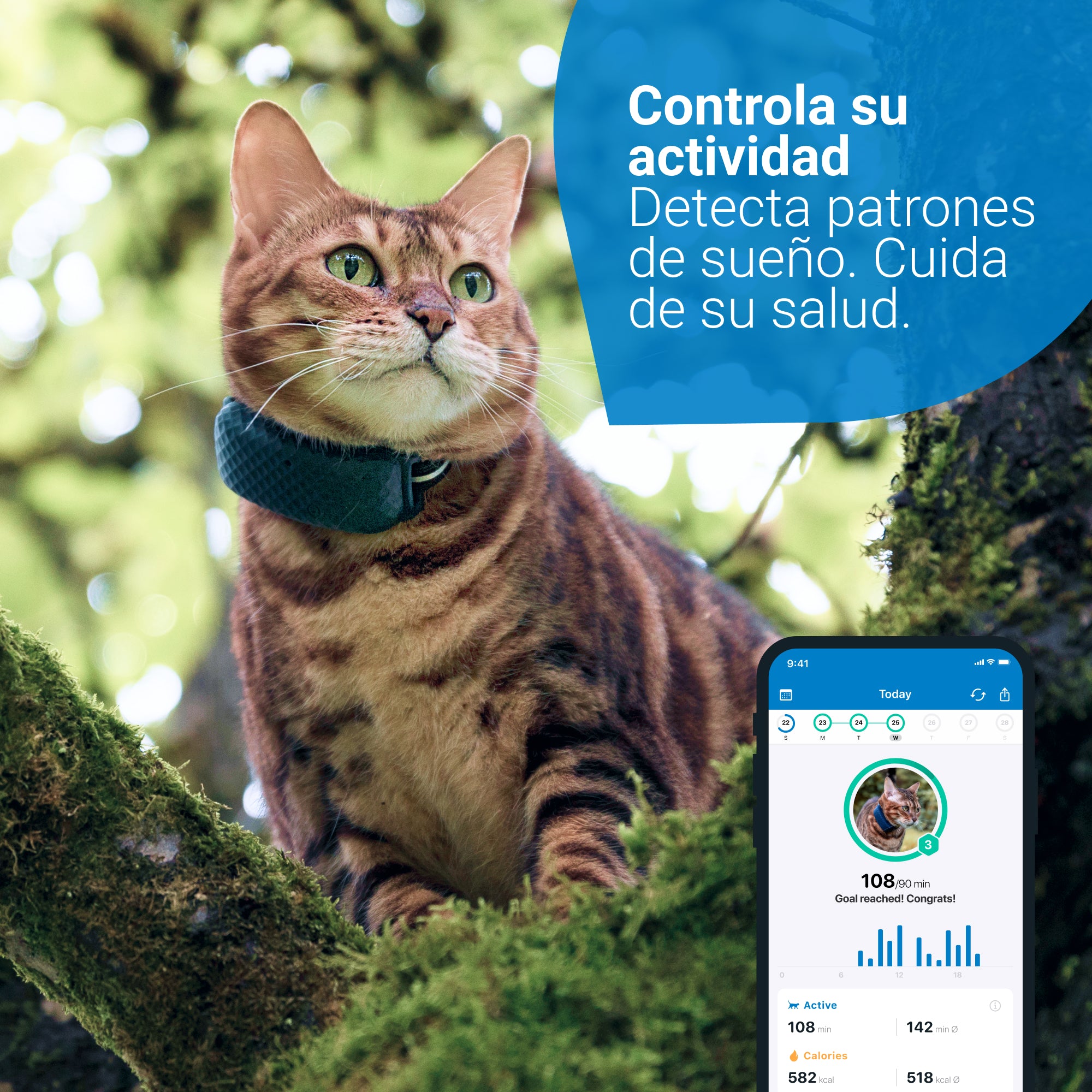 GPS RASTREADOR DE ACTIVIDAD PARA GATOS