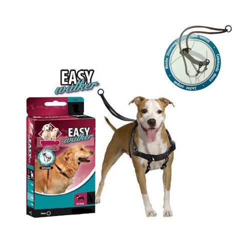 ARNES ENTRENAMIENTO EASY WALKER