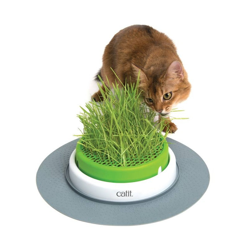 GERMINADOR HIERBA GATERA CATIT SENSES 2.0