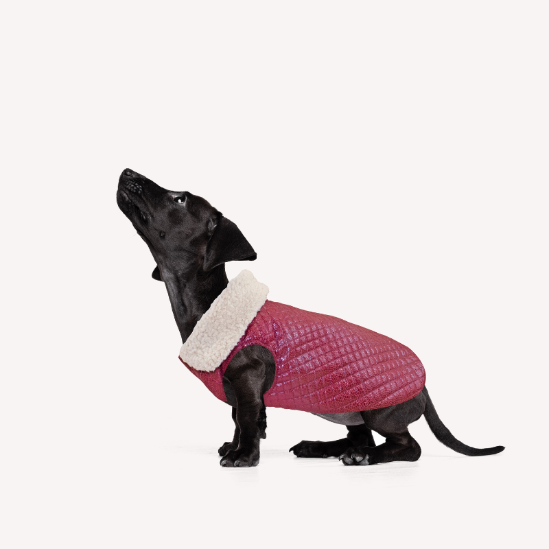 MI&DOG ABRIGO PERRO BOMBER GRANATE