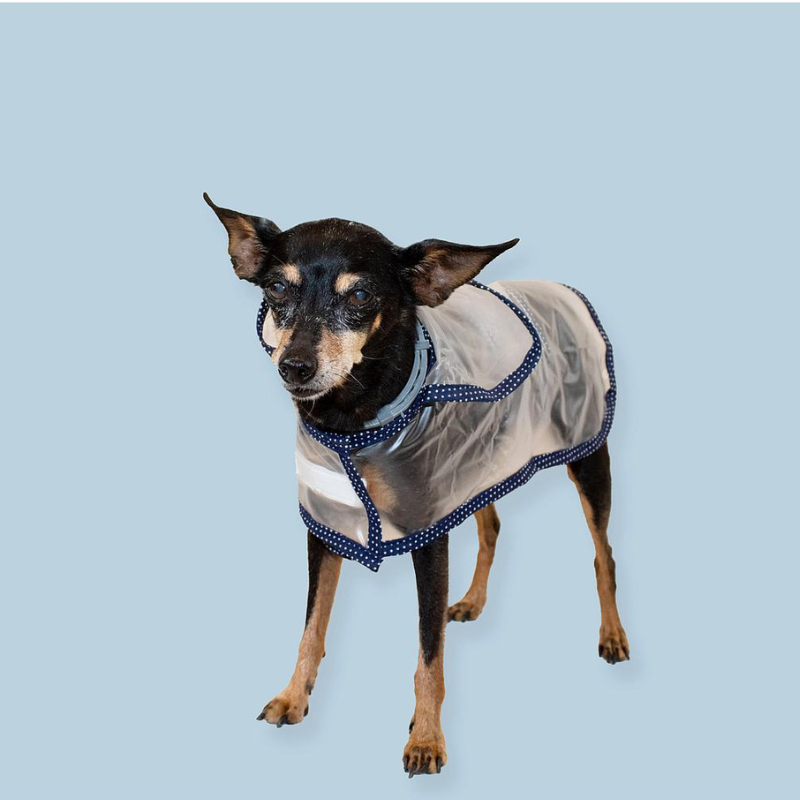 MI&DOG CHUBASQUERO IMPERMEABLE TRANSPARENTE CON CAPUCHA