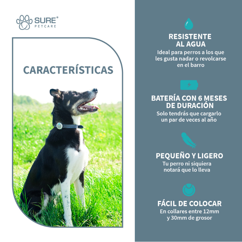 MONITOR COMPORTAMIENTO PERROS ANIMO