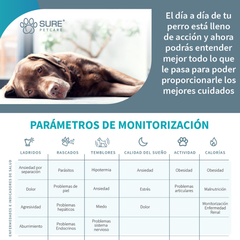 MONITOR COMPORTAMIENTO PERROS ANIMO