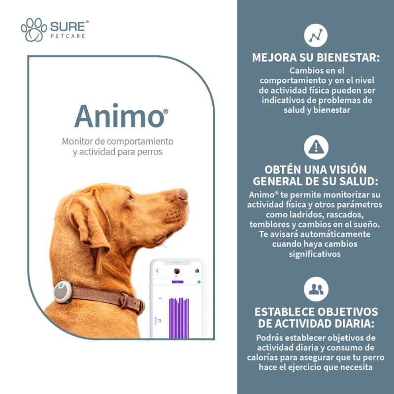 MONITOR COMPORTAMIENTO PERROS ANIMO