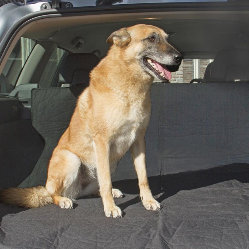 FUNDA MALETERO COCHE PERRO 180 x 130 CM