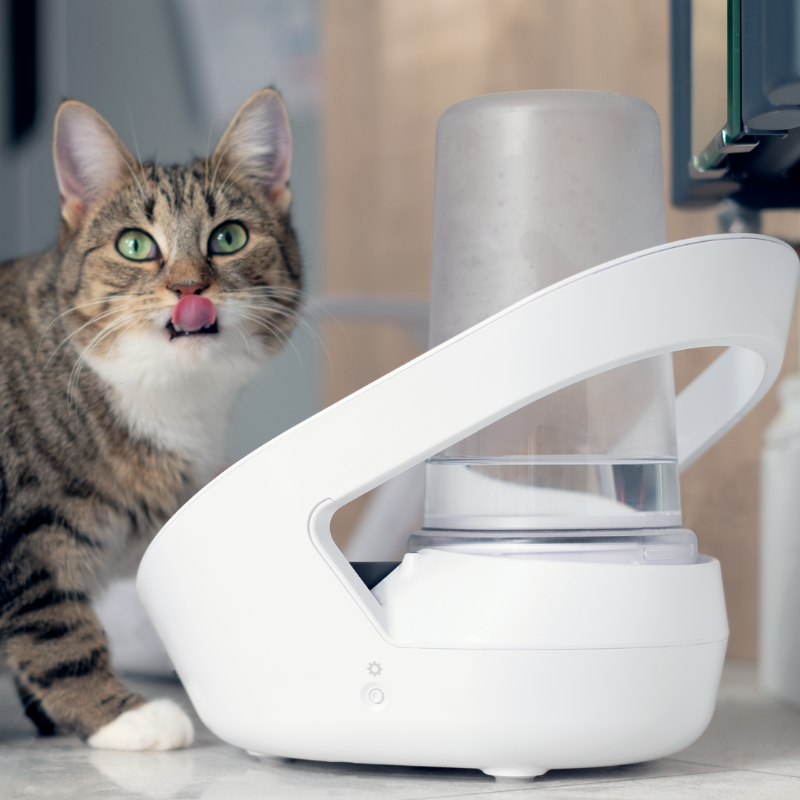 SURE PETCARE BEBEDERO INTELIGENTE PARA GATOS FELAQUA CONNECT