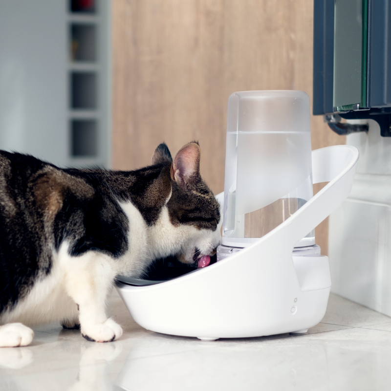 SURE PETCARE BEBEDERO INTELIGENTE PARA GATOS FELAQUA CONNECT