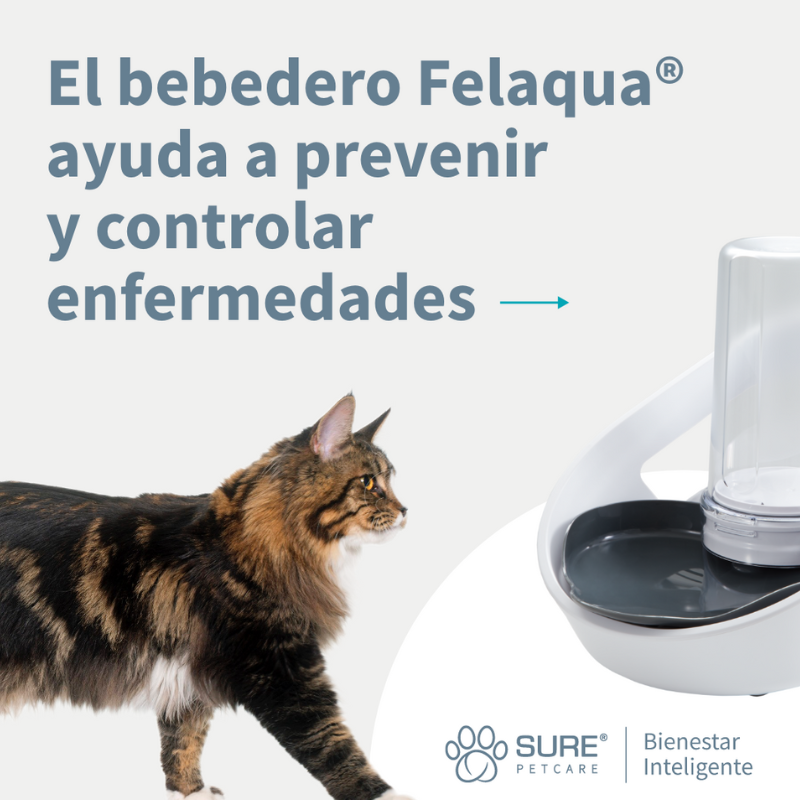 SURE PETCARE BEBEDERO INTELIGENTE PARA GATOS FELAQUA CONNECT