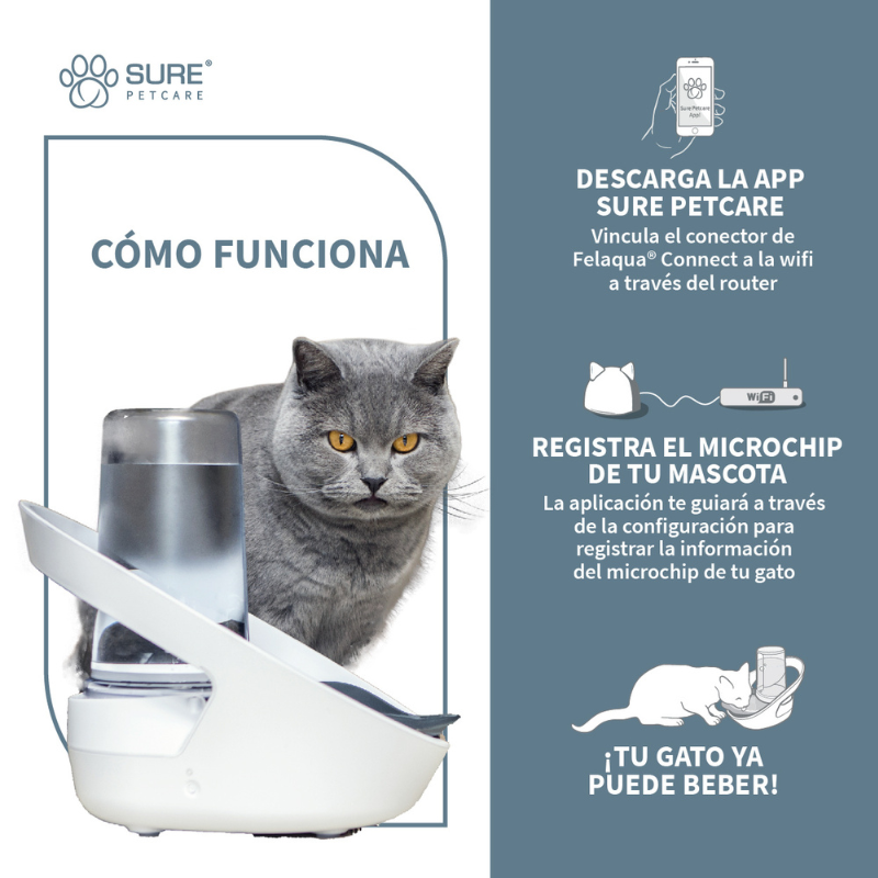 SURE PETCARE BEBEDERO INTELIGENTE PARA GATOS FELAQUA CONNECT