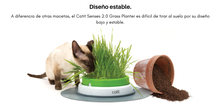 GERMINADOR HIERBA GATERA CATIT SENSES 2.0