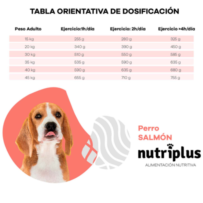 NUTRIPLUS PERROS ADULTO SALMON