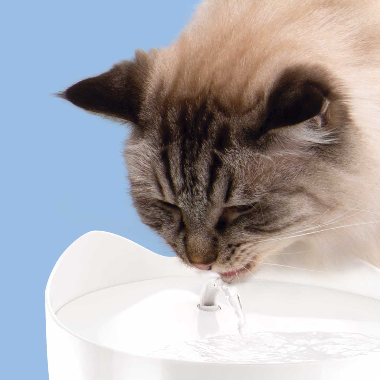 FUENTE 2,5 L CATIT PIXI DE COLORES