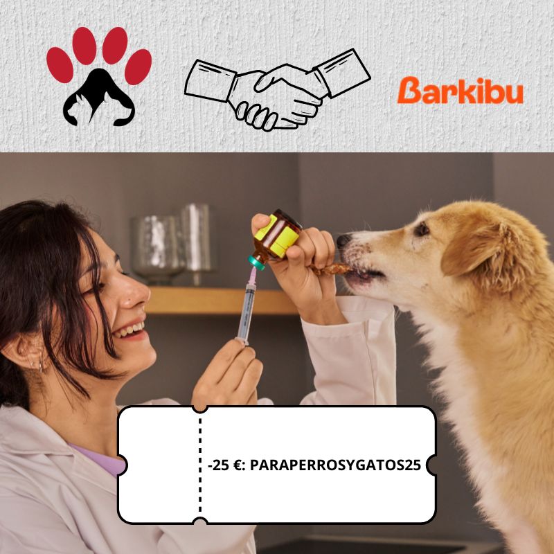 ¿Es obligatorio el seguro para perros en Madrid?