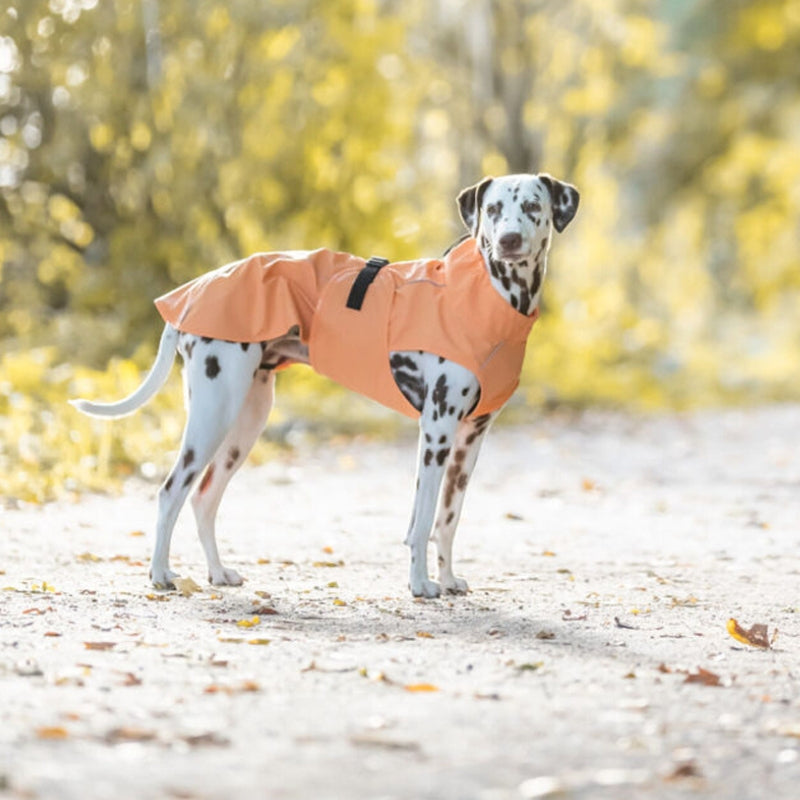 IMPERMEABLE PERRO VIMY NARANJA TRIXIE