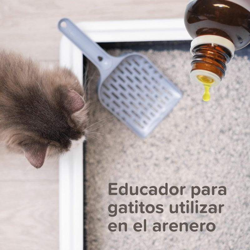 BEAPHAR EDUCADOR PARA GATOS 10 ML