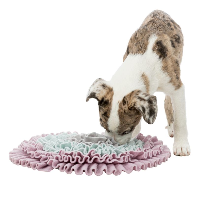 ALFOMBRA OLFATIVA ENTRENAMIENTO PERROS JUNIOR TRIXIE 38 CM