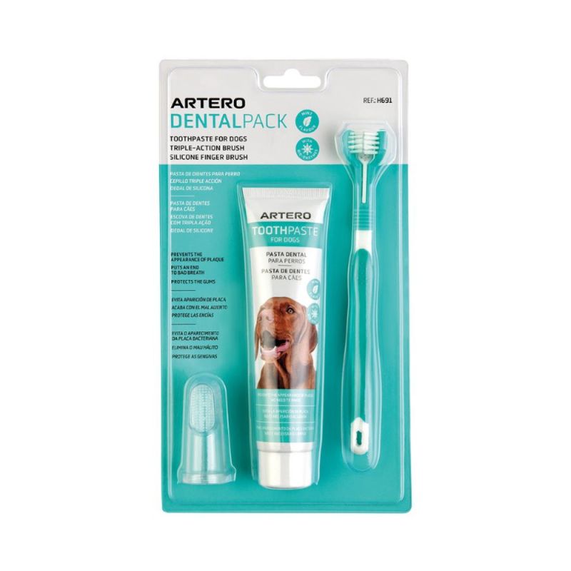 ARTERO PACK DENTAL SMILE