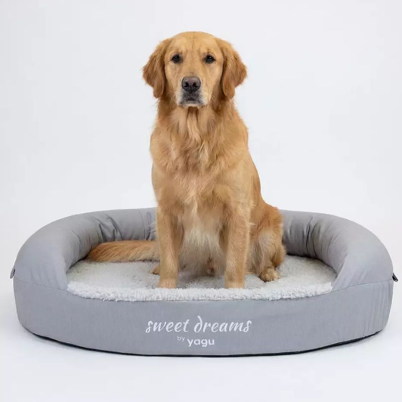 CAMA PERRO VISCOELASTICA YAGU