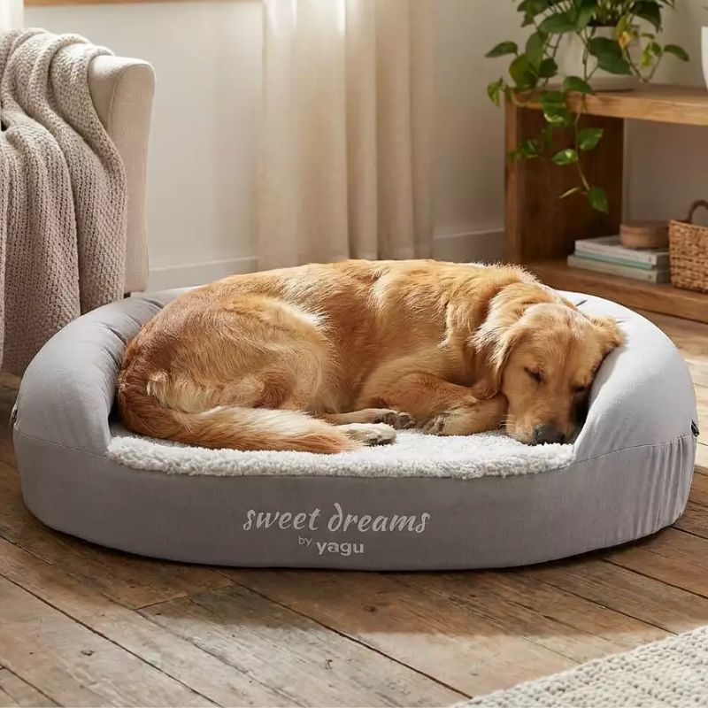 CAMA PERRO VISCOELASTICA YAGU GRIS