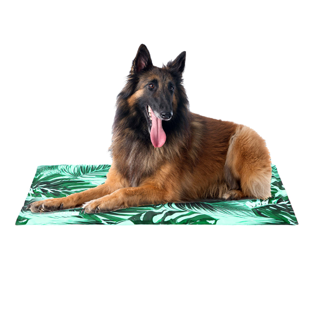 CAMA REFRESCANTE PERROS ANTIARAÑAZOS SABANA ESPUMA FREEDOG COOL BED